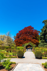 CHRISTCHURCH, NEW ZEALAND - OCTOBER 18, 2018: Landscape, Christchurch Botanic Gardens. Vertical. Copy space for text.