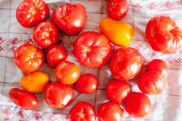 bright, juicy, ripe, red and yellow tomatoes with drops of water after washing