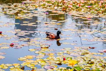 Kiryat Sefer Park in Tel Aviv