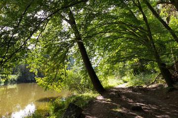 Romantic solitude Path with old big Trees about River Sazava in Central Czech