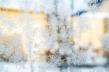 Eisblumen am Fenster im Gegenlicht