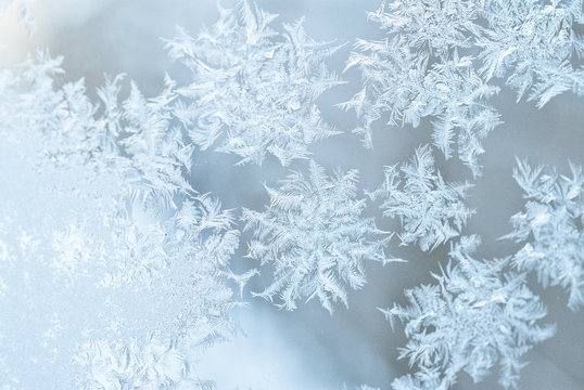 Eisblumen am Fenster im Gegenlicht