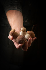 Man holding Boletus edulis in hand. Rustic style.