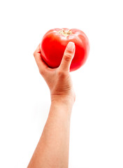 Female hand holding one big red tomato, isolated on white background.