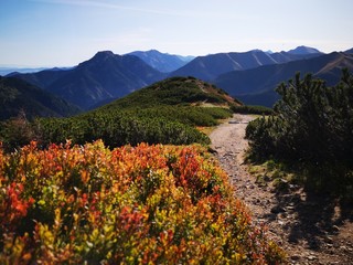 Tatry Zachodnie