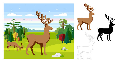 Deer icons. Flat vector illustration of deer. Decorative cute illustration for children. Graphic design elements for print and web.