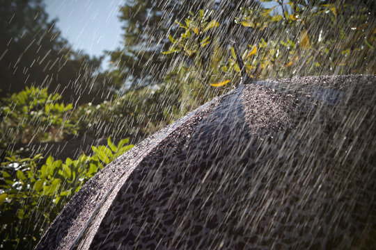 umbrella and a summer rain shower