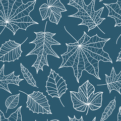 Beautiful falling leaves seamless pattern, hand drawn detailed leaves, autumn design, great for textiles prints, banners, wallpapers, wrapping - vector surface design