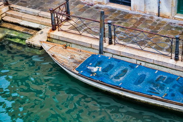Fototapeta na wymiar kanal rio marin mit boot und möwe in venedig, italien