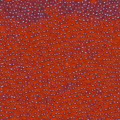 Texture background pattern