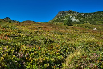 Fototapeta na wymiar Mountain panorama