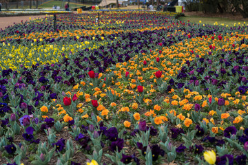 Floriade 2019 - an annual event in Canberra, Australia