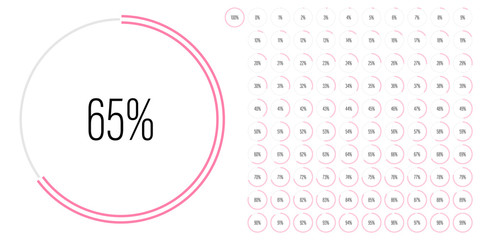 Set of circle percentage diagrams meters from 0 to 100 ready-to-use for web design, user interface UI or infographic - indicator with pink