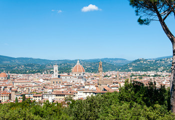 Fototapeta na wymiar Florence skyline in a sunny day with a cathedral view