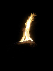 Flames of camping fire at night.