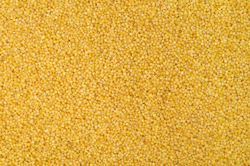 Millet yellow background 