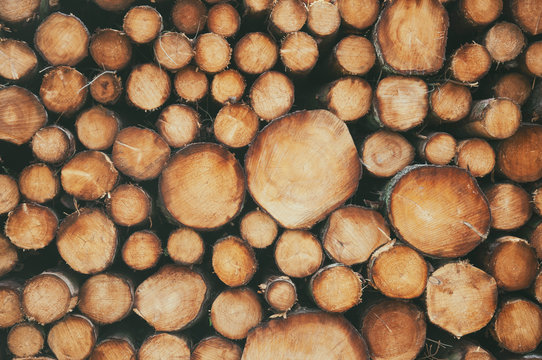 Wooden logs close up image 