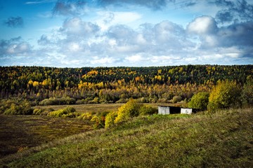 background with forest of autumn trees