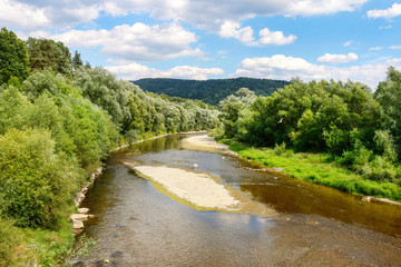 Fototapeta na wymiar Mountain landscape with river and lush trees.