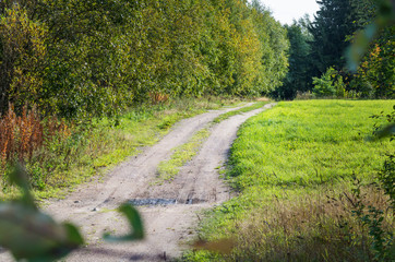 Fototapeta na wymiar A rural road. Green meadow and a country track.