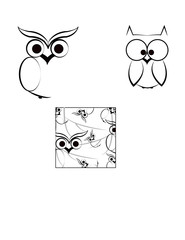 owl on white background