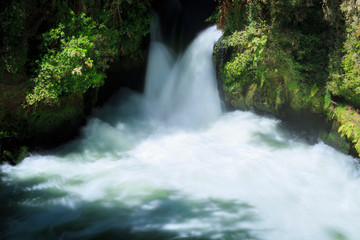 Okere Falls flowing fast north island New Zealand