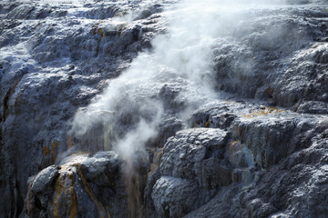 New Zealand Hot Spring Geyser Rotorua mud pools