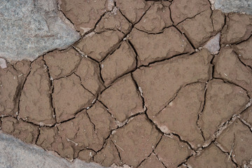 dry cracked earth