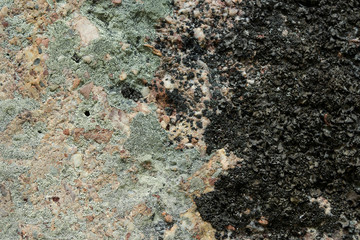 stone and lichen