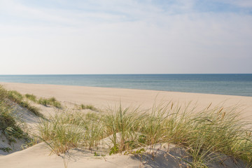 Fototapeta na wymiar Curonian spit, national park in the Kaliningrad region, the beach of the Baltic Sea
