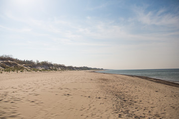 Curonian spit, national park in the Kaliningrad region, the beach of the Baltic Sea