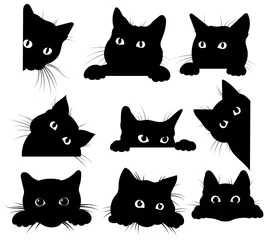 Foto op Plexiglas Set of black cats looking out of the corner. Collection of cat faces that spy on you. Playing pets. Tattoo. © Igor