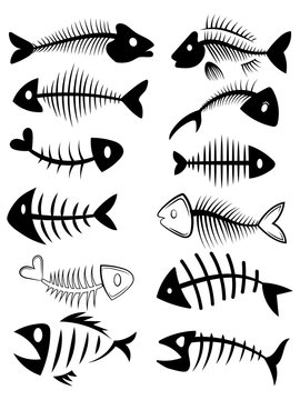 Set of silhouettes of fish skeletons. Collection of fish bones. Black and white vector illustration. Tattoo.