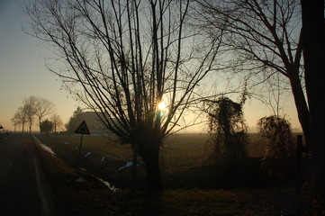 Tramonto in campagna