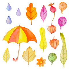 Set of vector watercolor autumn design elements