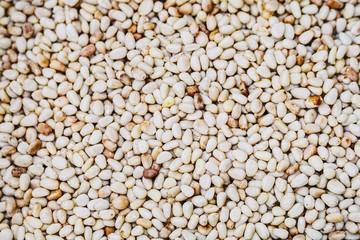  Pine nuts