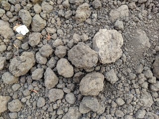 Earth Brown lumps on the road