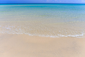 beach and tropical sea