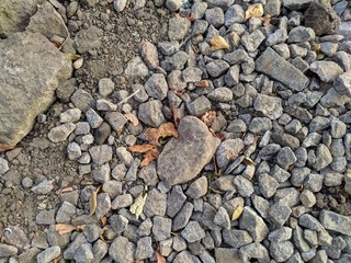Many pebbles and leaves on the ground