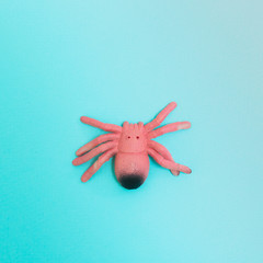 A scary pink painted spider sits on a blue background. Halloween decorations. Minimalism