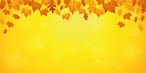 Fototapeta premium autumn orange and yellow falling leaves on yellow background vector illustration EPS10