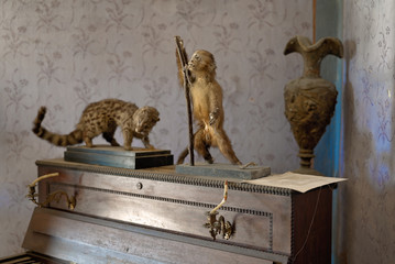 Scimmie Finte Trofei