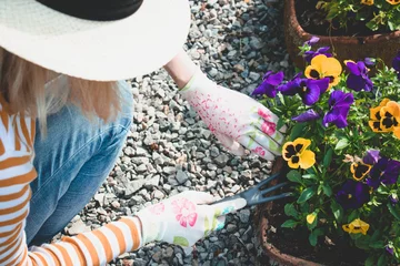 Foto op Plexiglas Vrouw, kleurrijke viooltjes, zomer, tuin. Vrouw in licht beige hoed werk met bloemen. © Struzhkova Ilona