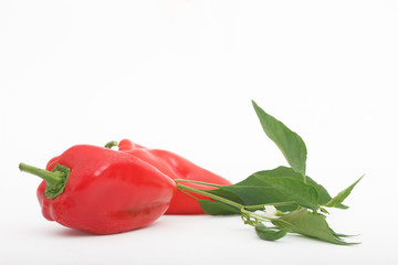 Fresh red peppers with leaves and flowers isolated on white background. Organic peppers, healthy vegetable.