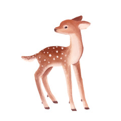 Cute little deer kid on a white background. Hand drawn illustration.