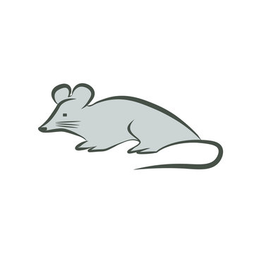 Gray mouse in outline on white background. Illustration.