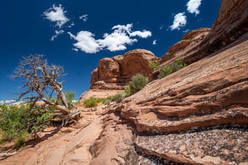 Low angle view of a hiking trail leading to a red sandstone monolith under a blue sky with puffy clouds