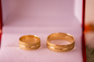 Macro shot of two gold wedding rings 