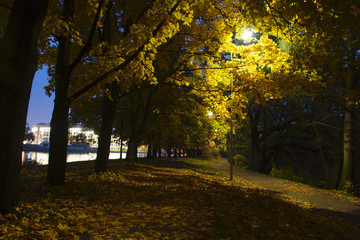 City park in autumn, paths covered with fallen leaves, lanterns illuminate trees