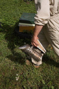 a beekeeper in work 